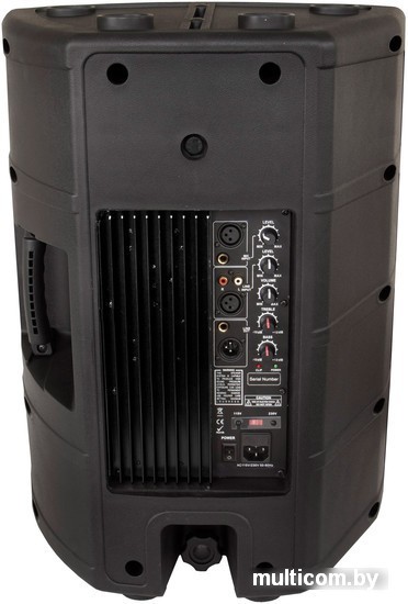 Концертная акустика JB Systems PSA-12