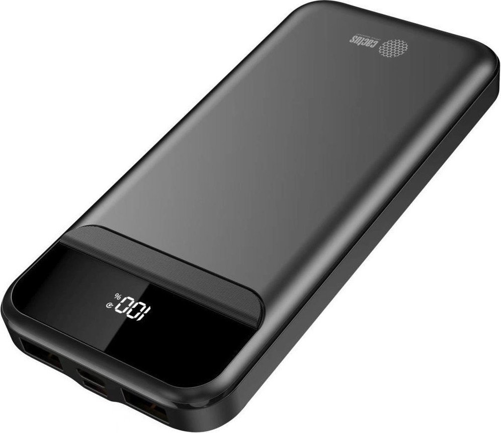 Внешний аккумулятор CACTUS CS-PBFSCA-10000 10000mAh (черный)