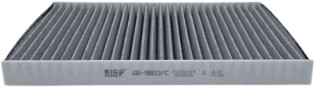 BIG Filter GB-9803/C