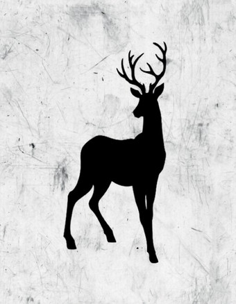 Картина Stamprint Звери 2 TR024 (45x35)