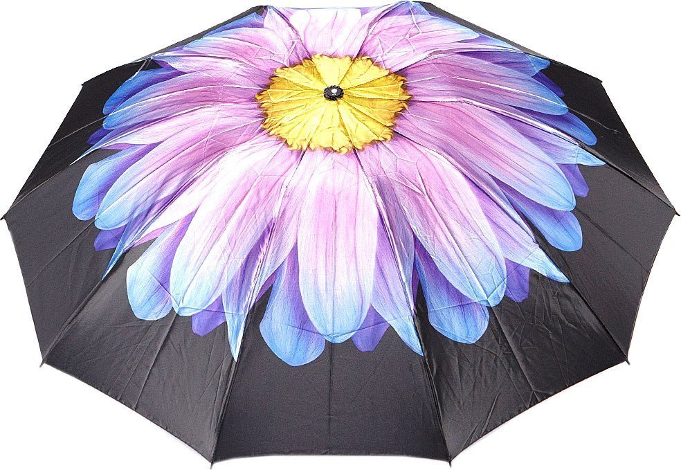 Зонт Rain Berry 734-23340.2 (черный/голубой)