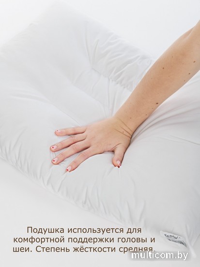 Спальная подушка Familytex ПСС3 С тремя перегородками (50x70)