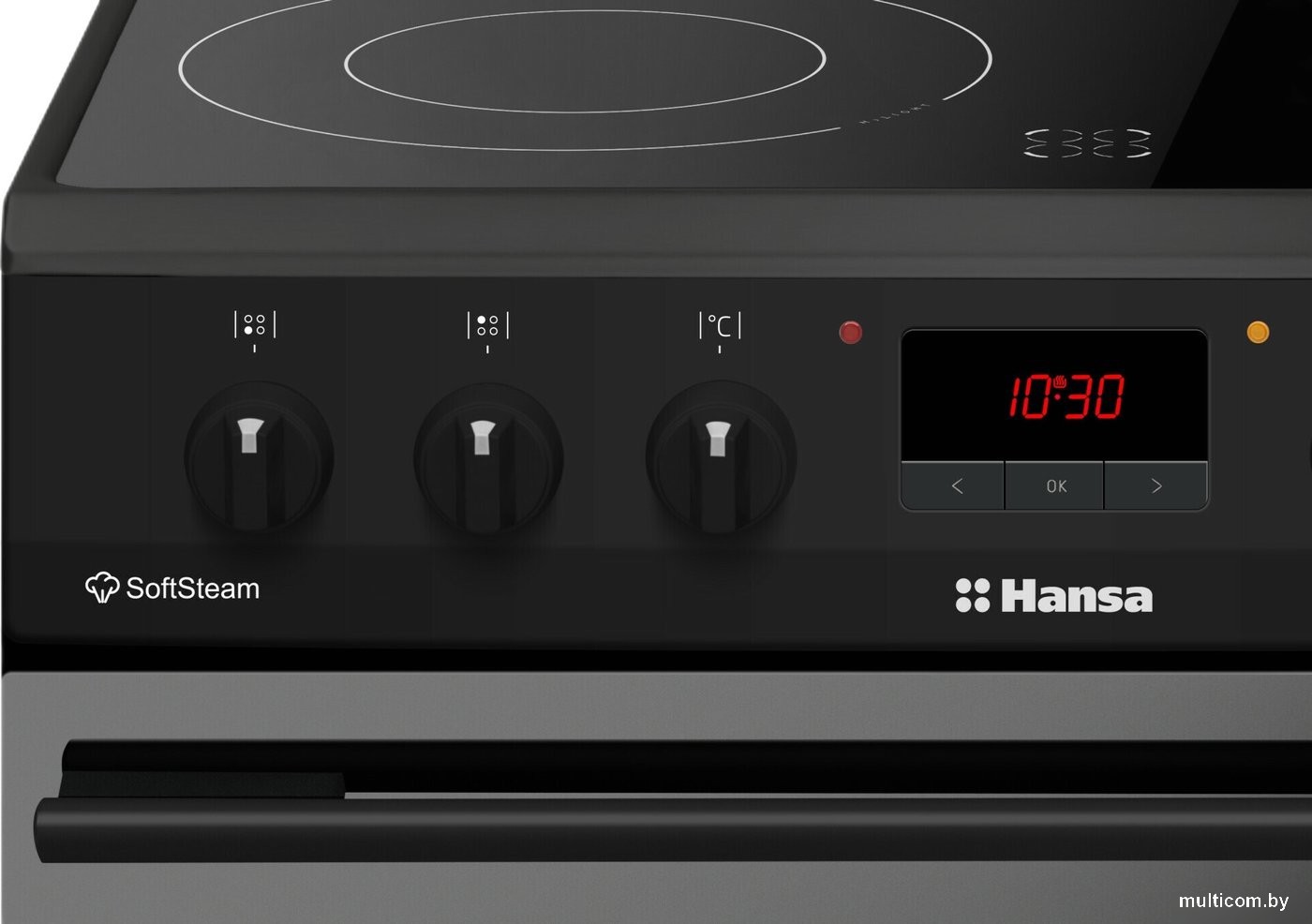 Кухонная плита Hansa FCCM69225H