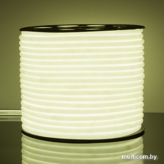 Гибкий неон Elektrostandard 220V 9.6W 144Led 2835 IP67 круглый холодный белый a043547