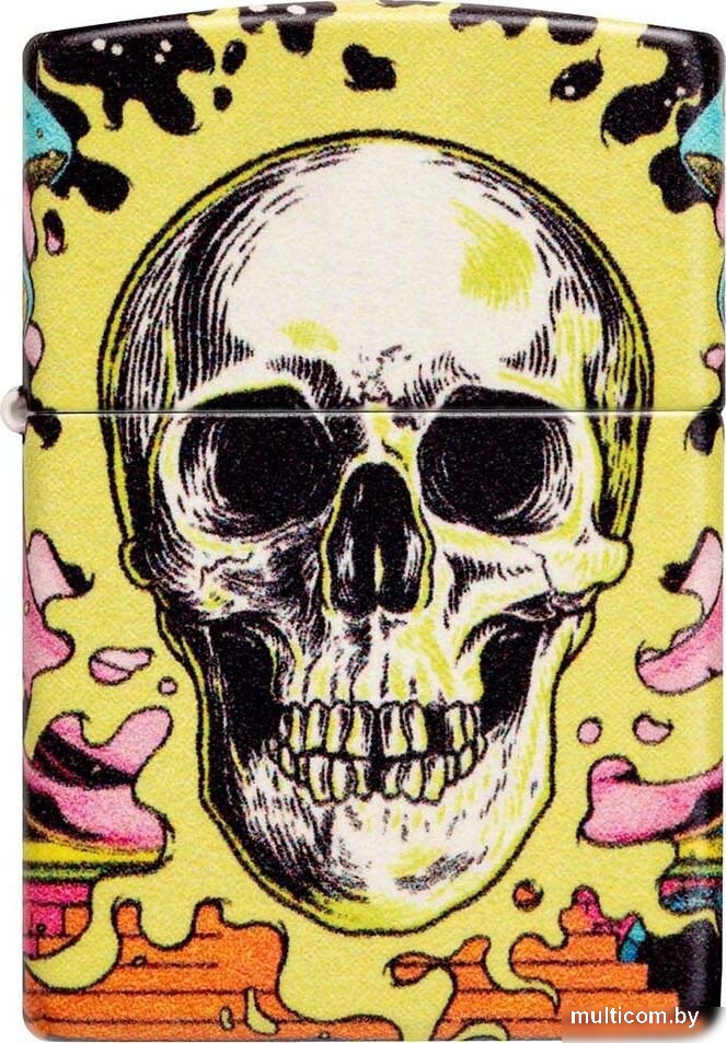 Зажигалка Zippo Skull Design 48640