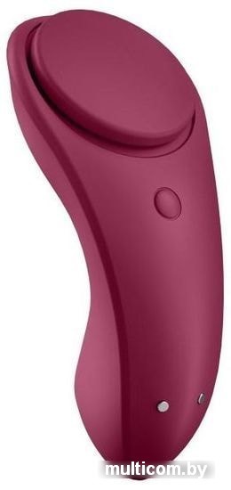 Satisfyer Sexy Secret J2018-98
