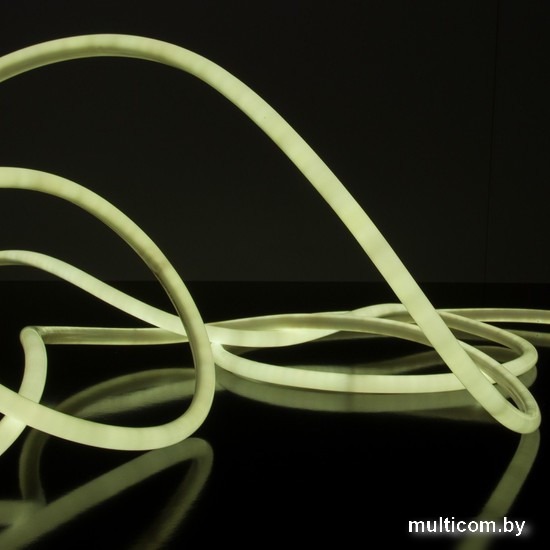 Гибкий неон Elektrostandard 220V 9.6W 144Led 2835 IP67 круглый холодный белый a043547