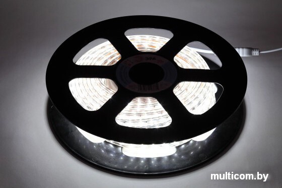 Готовый комплект светодиодной ленты ЭРА LS2835-4,8-60-220-6500К-IP67-20m