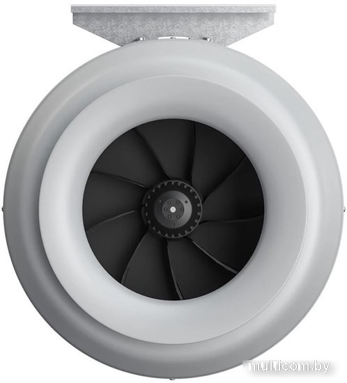 Осевой вентилятор ERA D250 Pro Cyclone 250