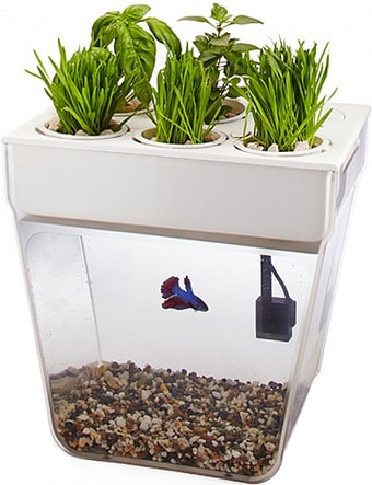 Акваферма Назад к истокам AquaFarm 11 л (белый)