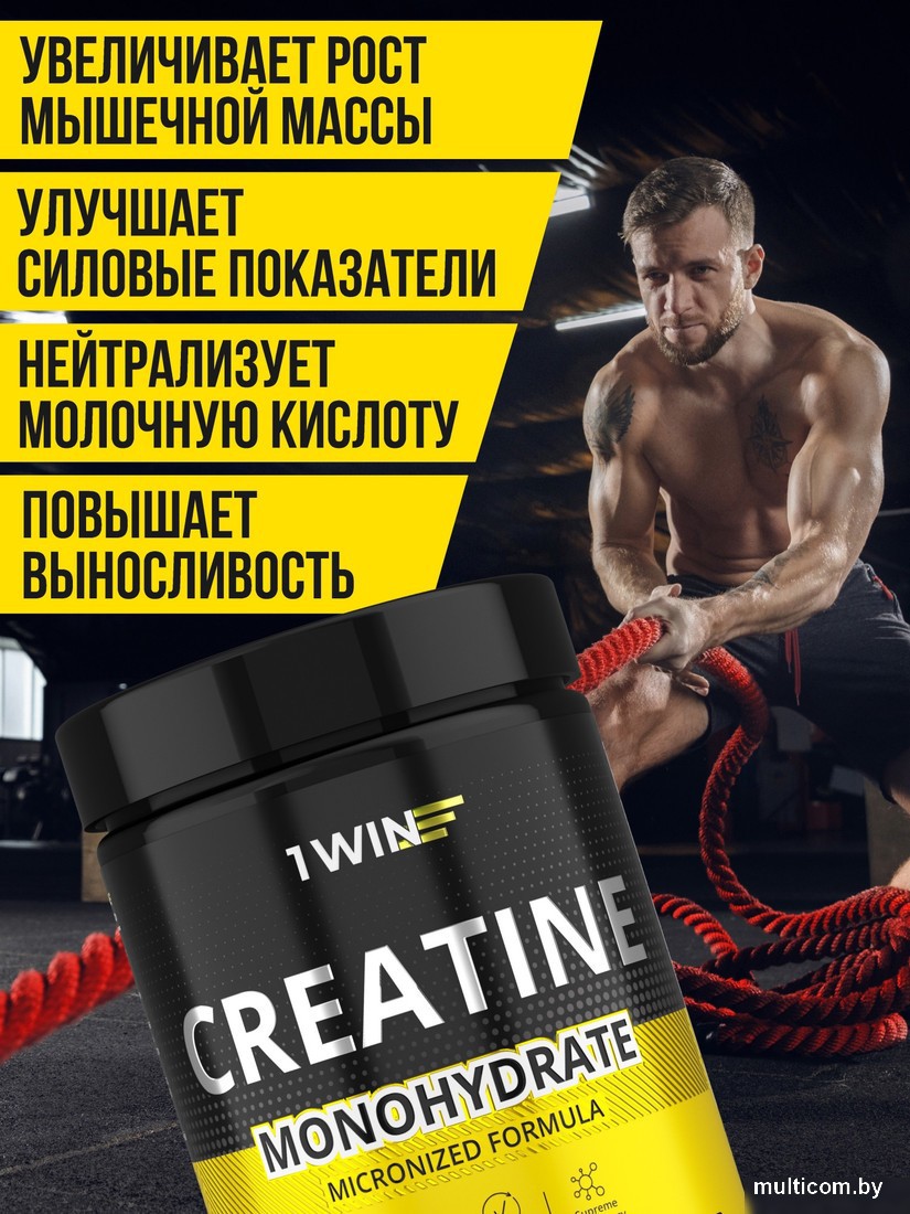 Моногидрат креатина 1WIN Моногидрат (200г, тропический микс)