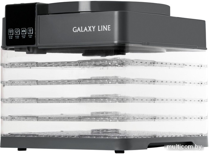Сушилка для овощей и фруктов Galaxy Line GL2630 (серый)