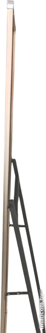 Зеркало Saniteco 22-02 160x50 (золото)