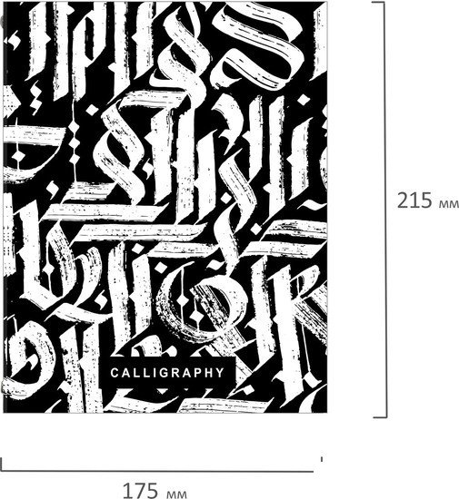 Общая тетрадь BRAUBERG Calligraphy 404097 (240л)