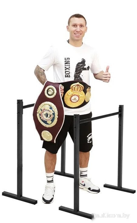 Брусья Absolute Champion Хайлетсы №2 АЧ 8130 (черный)