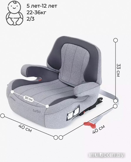 Детское сиденье Rant Turbo Isofix Active Line AY313 (серый)