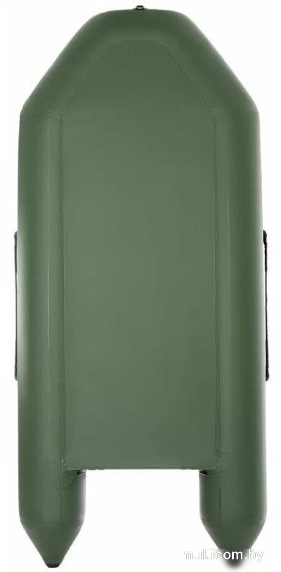 Моторно-гребная лодка Тонар Капитан 260Т (зеленый)
