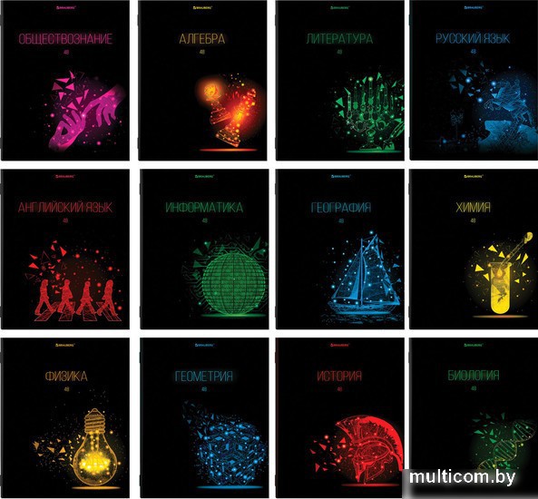 Тетрадь предметная BRAUBERG Dark 404028 (10шт)