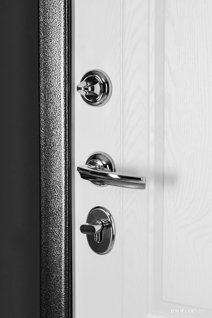 Металлическая дверь Guard Классика MG60 97х205 правая (черное серебро/белый ясень)