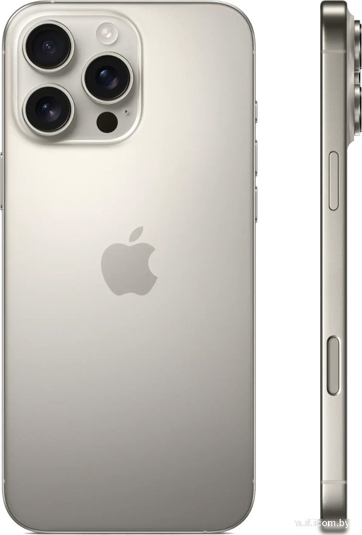 Смартфон Apple iPhone 16 Pro Max 512GB (природный титан)