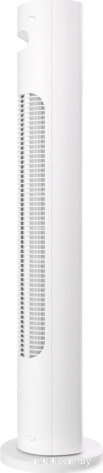 Колонный вентилятор Royal Clima RBF-801E-WT