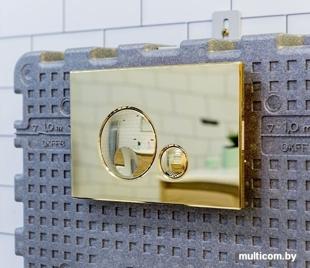 Панель смыва OLI Globe 152954 (золотистый)