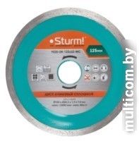 Отрезной диск алмазный Sturm 9020-04-180x22-WC