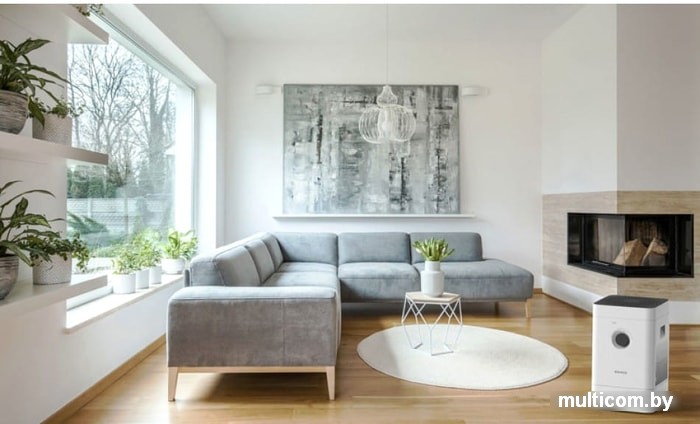 Климатический комплекс Boneco Air-O-Swiss H300