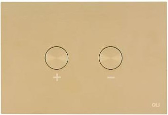 Панель смыва OLI Blink 878781 (белое золото)