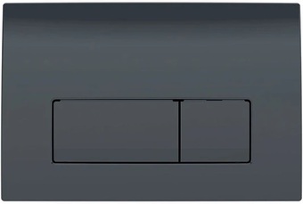 Панель смыва Geberit Delta 50 115.119.DW.1 (черный глянцевый)