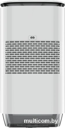 Климатический комплекс Garlyn AirClean V60