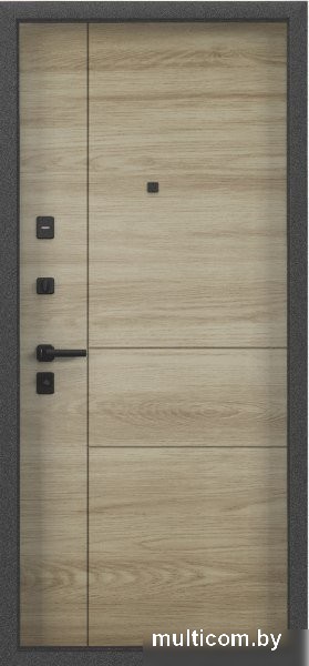 Torex Tau LT PP3 (95x205, левая)