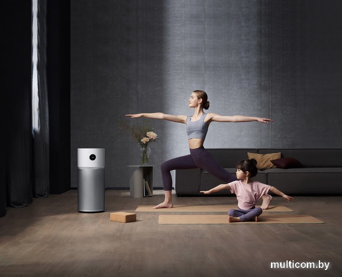 Очиститель воздуха Xiaomi Smart Air Purifier Elite Y-600 (европейская версия)
