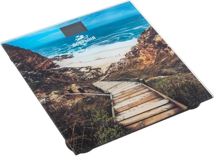 Напольные весы Добрыня DO-3006F