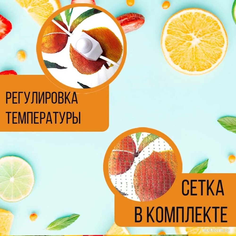 Сушилка для овощей и фруктов БРТЗ Хозяюшка СЭБ-1-0 23с473