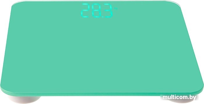 Напольные весы Rexant 72-1201