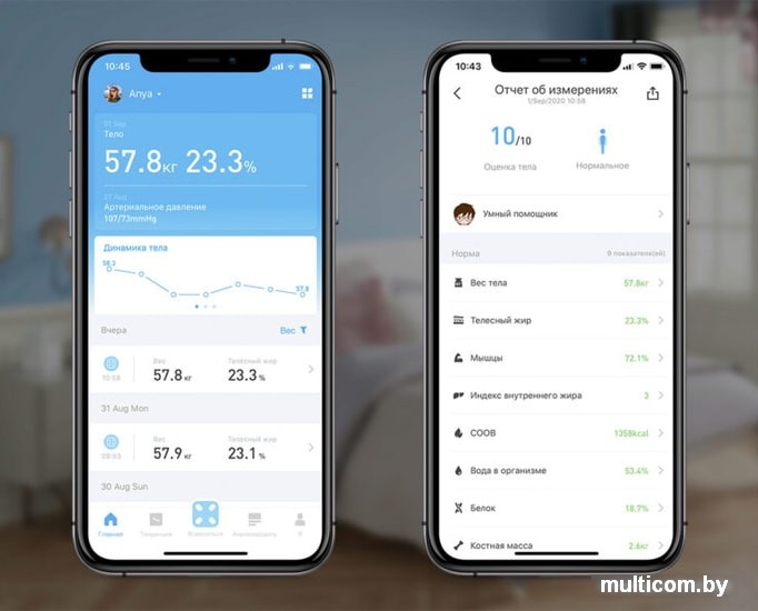 Напольные весы Picooc S3 V2