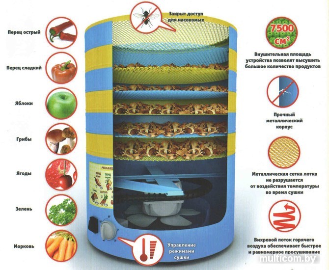 Сушилка для овощей и фруктов Элвин СУ-1