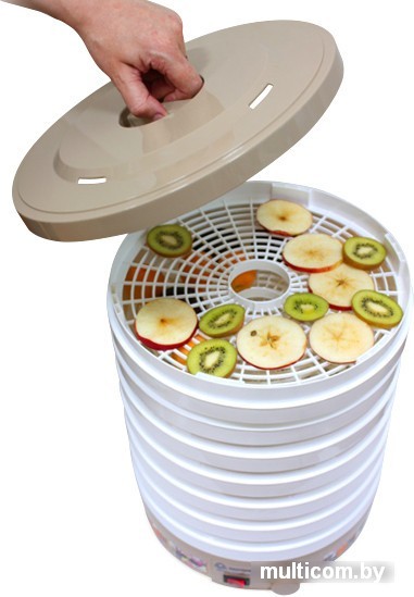 Сушилка для овощей и фруктов Мастерица ЭСБ-15/25-450